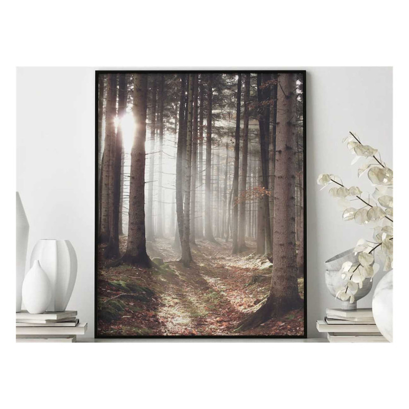 MR-17112023105815-sunbeam-forest-poster-nature-art-forest-photography-image-1.jpg