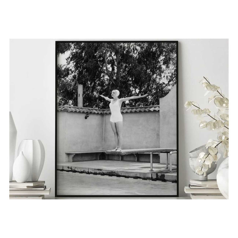 MR-1711202311525-on-the-diving-board-poster-on-the-diving-board-poster-wall-image-1.jpg