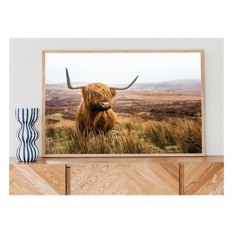 MR-17112023111734-highland-cow-photography-highland-cow-printbedroom-image-1.jpg