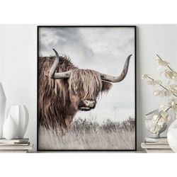 highland cow poster, farmhouse poster gift, cow wall