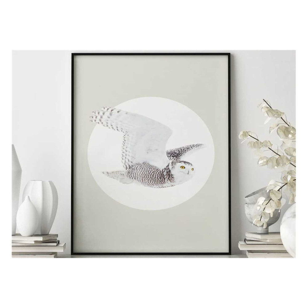 MR-17112023112049-majestic-serenity-white-owl-poster-wall-art-poster-print-image-1.jpg