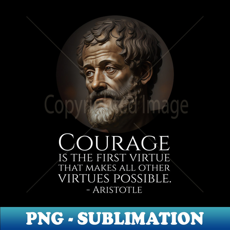 AE-20231117-3244_Courage is the first virtue that makes all other virtues possible - Aristotle 5723.jpg