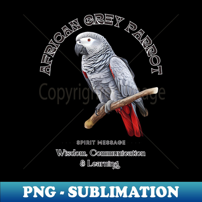 AQ-20231117-301_African Grey Parrot Spirit Message Wisdom Communication Learning 8284.jpg
