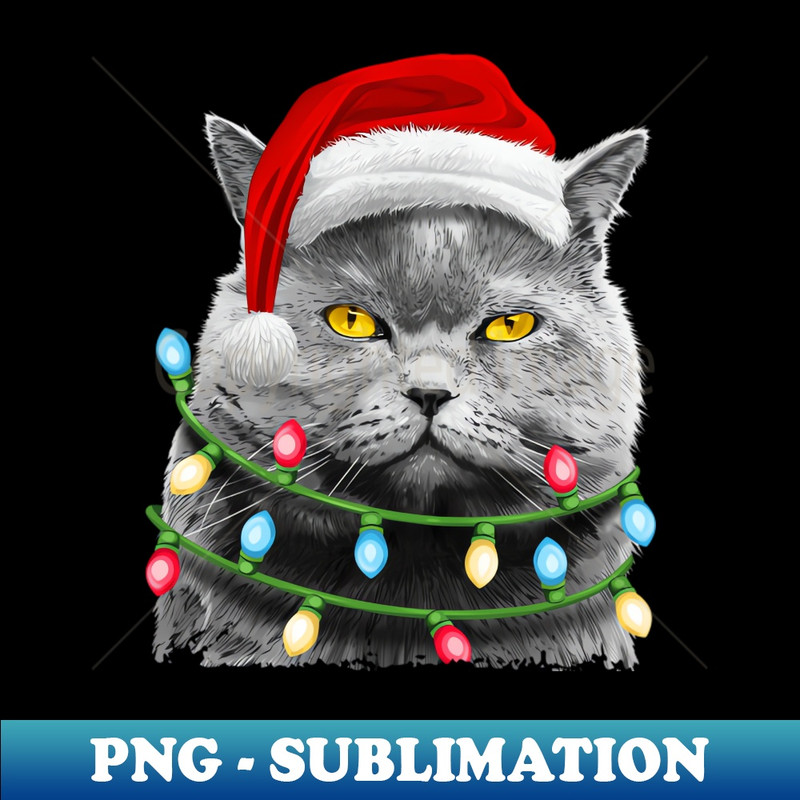 BF-20231117-2465_Cat Santa Christmas Tree Lights Xmas Meowy Catmas 2733.jpg