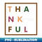 BI-20231117-13692_THANKFUL COLOR BLOCK 4034.jpg