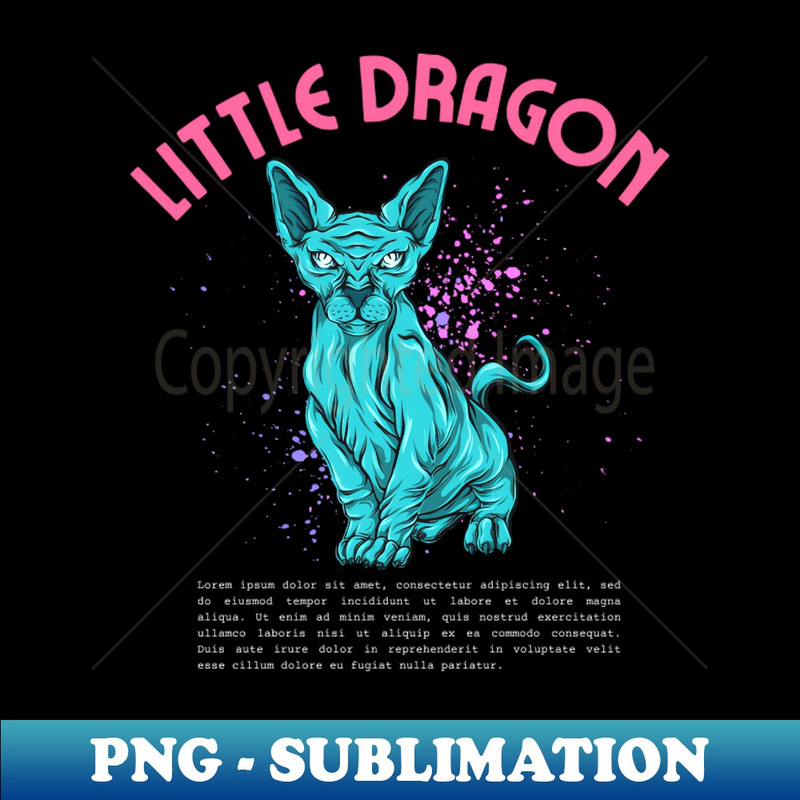 BO-20231117-8689_little dragon 7754.jpg