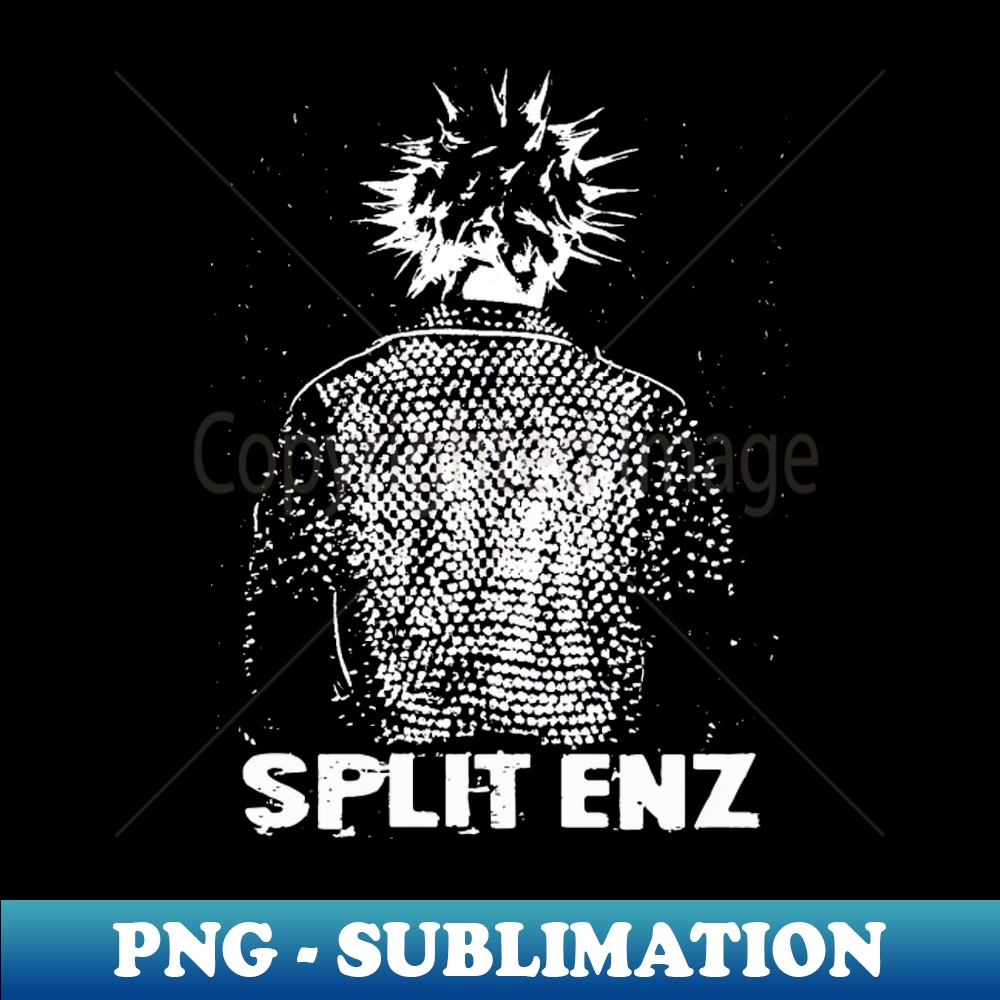 BQ-20231117-12956_split enz punk forever 9544.jpg