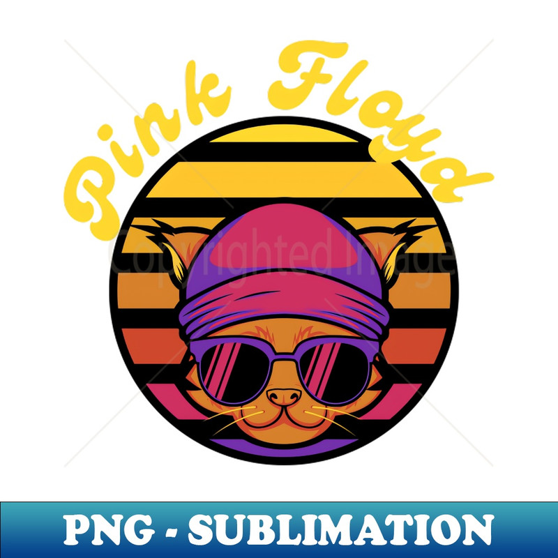 CO-20231117-10999_pink floyd 2641.jpg