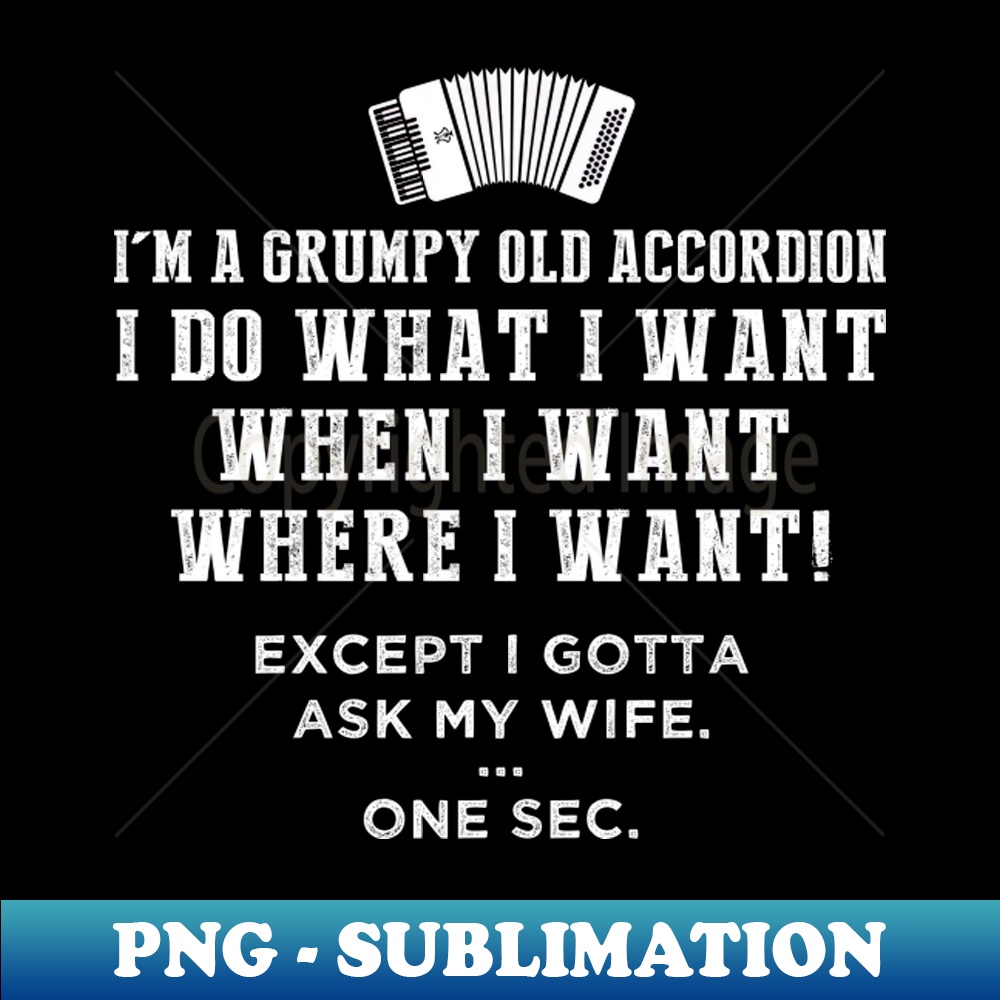 CT-20231117-14978_Unleash the Grumpy Maestro Within Funny Accordion Freedom Tee 7890.jpg
