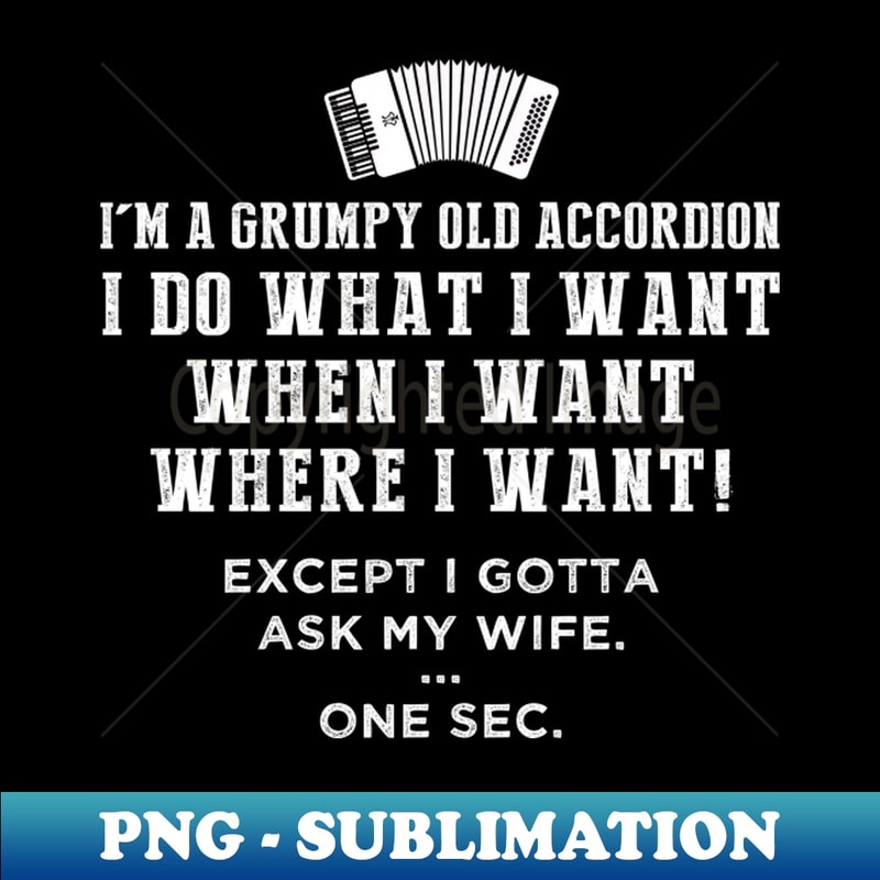 CT-20231117-14978_Unleash the Grumpy Maestro Within Funny Accordion Freedom Tee 7890.jpg