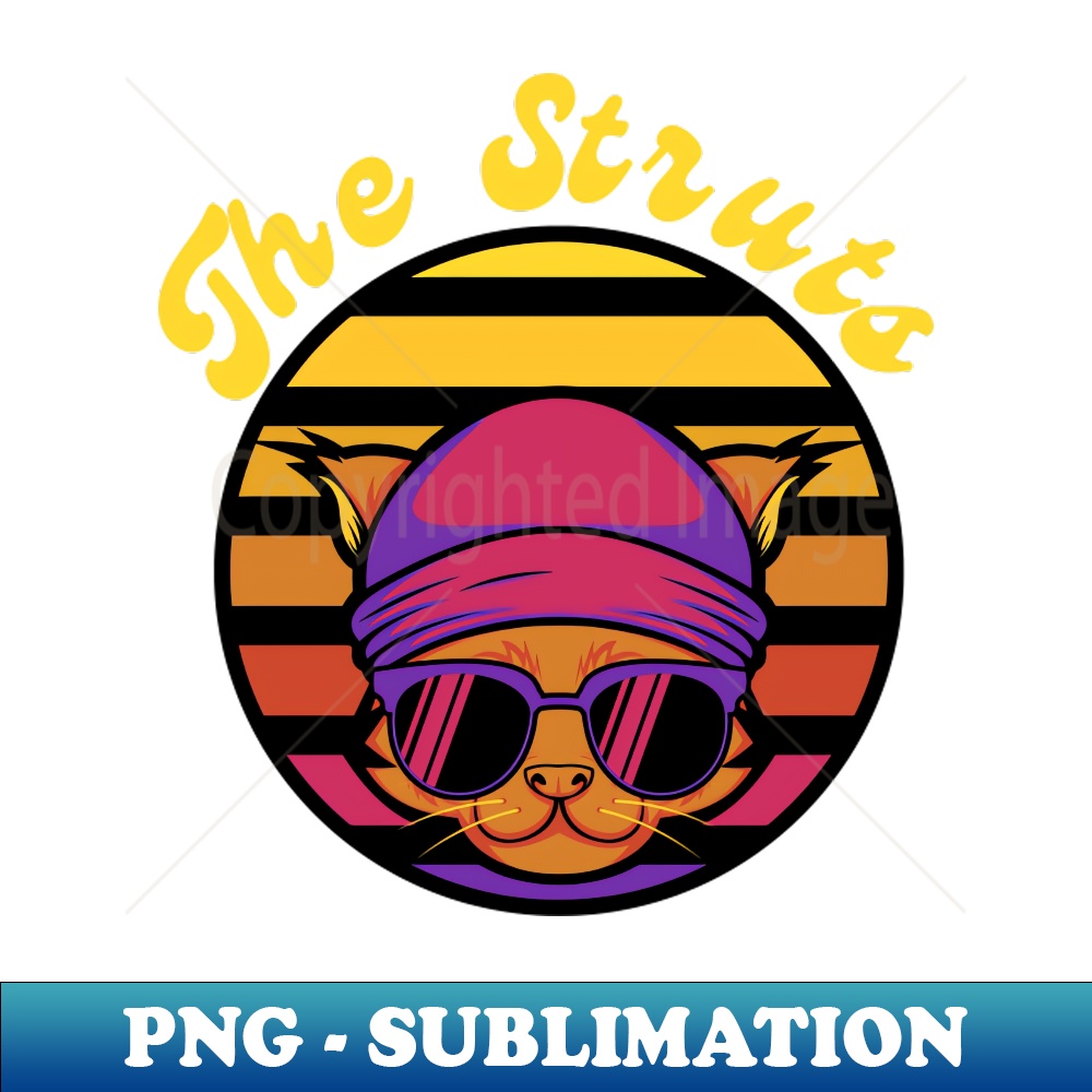 CV-20231117-14207_the struts 8938.jpg