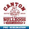 DC-20231117-2349_Canton Bulldogs Football 9377.jpg