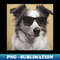 DQ-20231117-6245_Handsome Dog 9494.jpg