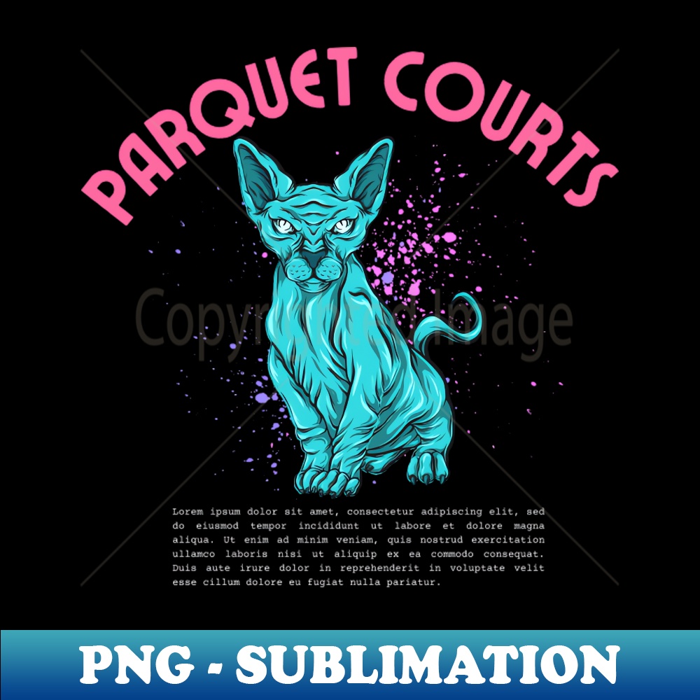 DR-20231117-10708_parquet courts 6328.jpg