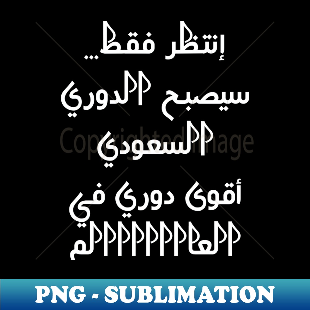 DS-20231117-12304_saudi arabia 2351.jpg