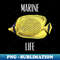 DS-20231117-9134_Marine life 8195.jpg