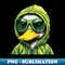 DX-20231117-1109_Baby Duck with sunglasses and hoodie 4800.jpg