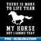 EC-20231117-6654_Horse Ignorance T-Shirt 5357.jpg