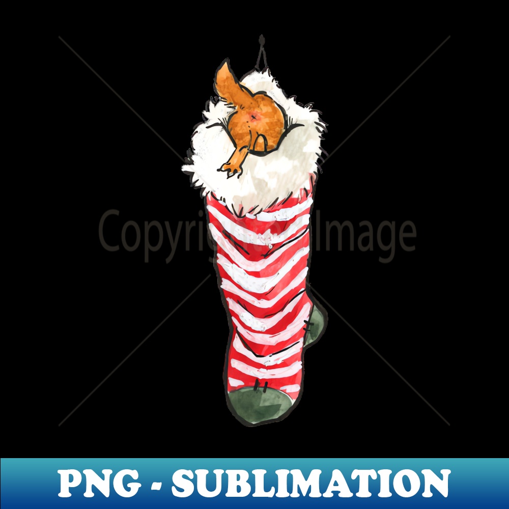 EY-20231117-2789_Christmas kitten bum in a sock 9565.jpg