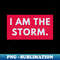 FS-20231117-6799_I am the storm 2701.jpg
