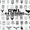Owl SVG Birds SVG Owl Clipart Cut Files Silhouette Cricut.jpg