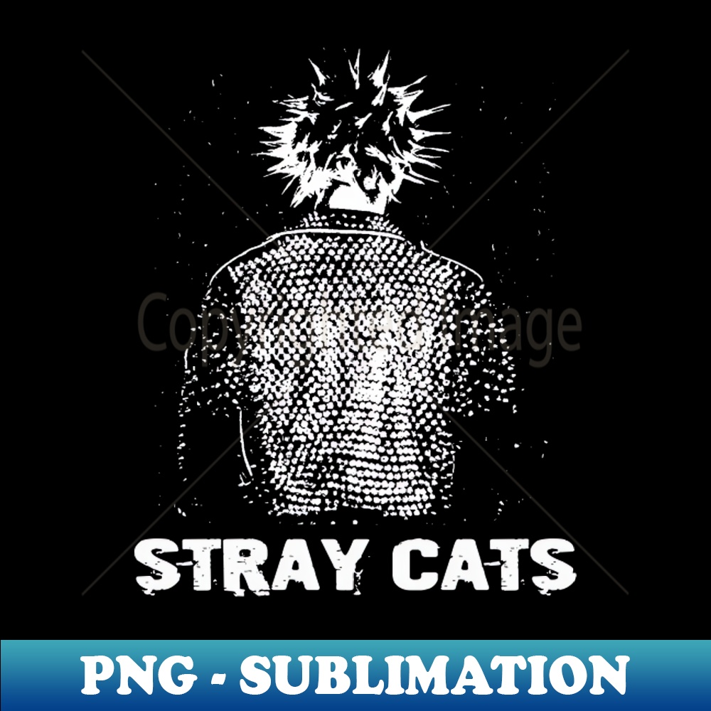 GR-20231117-13219_stray cats 3895.jpg