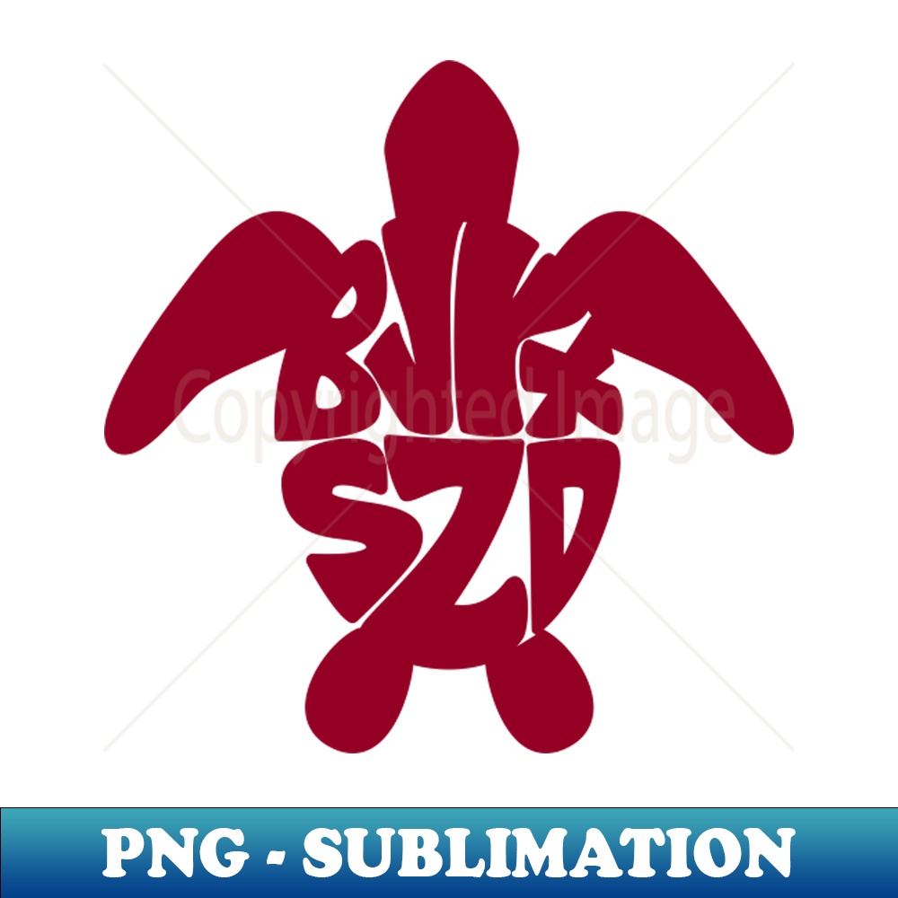 HP-20231117-1739_BJYX Turtle - Red 6252.jpg