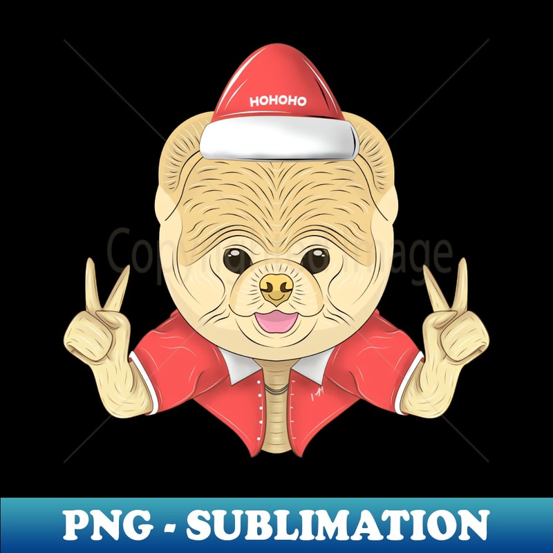 HS-20231117-12273_santa puppy 4818.jpg