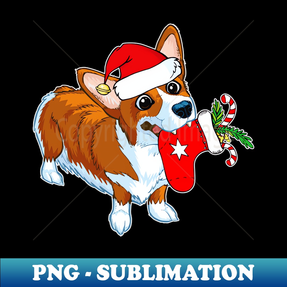 JK-20231117-3206_Corgi Christmas Stocking Dog 1613.jpg
