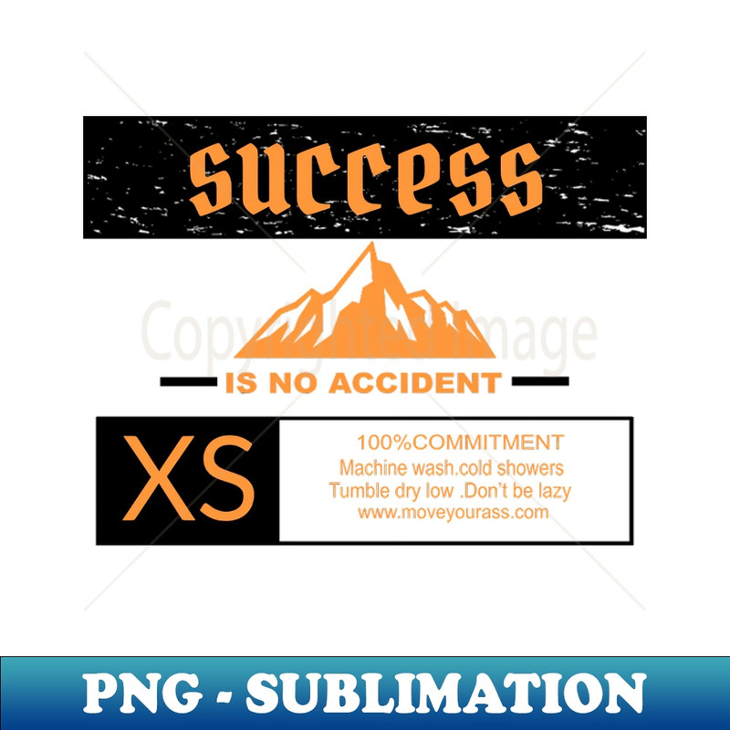 JN-20231117-13276_Success is not an accident 7093.jpg