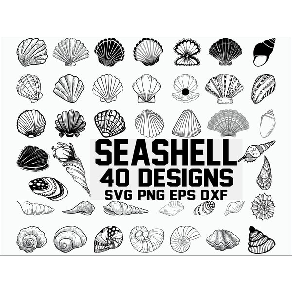 Seashell SVG, shell svg, seashell clipart, clam svg - Inspire Uplift
