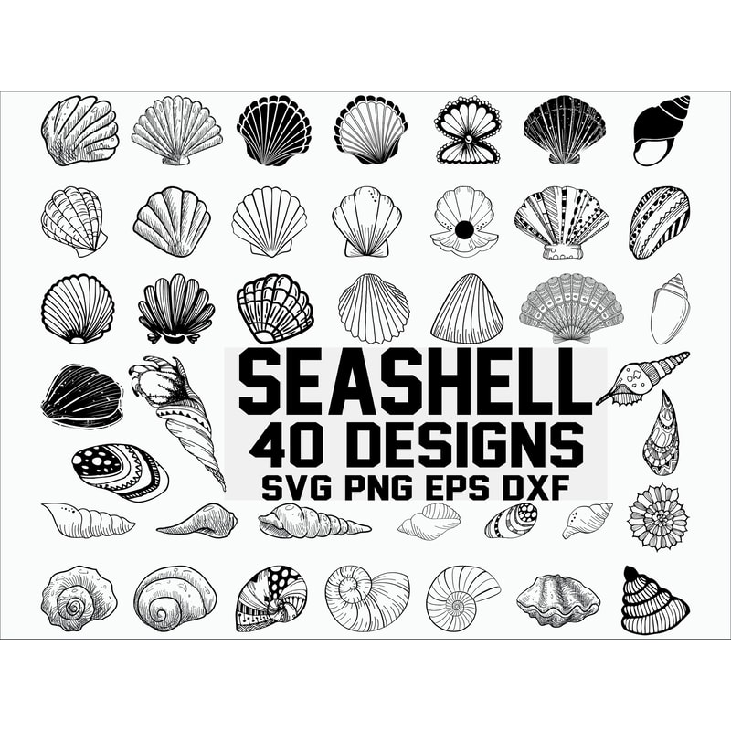 Seashell SVG shell svg seashell clipart clam svg scallop svg ocean svg marine svg stencil vinyl cut files cricut files svg files.jpg