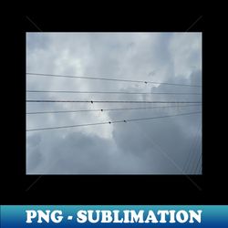 birds on a wire - elegant sublimation png download - stunning sublimation graphics