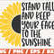 Stand Tall And Keep Your Face To The Sunshine SVG Cut File Cricut Commercial use Instant Download Sunflower SVG.jpg