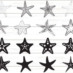 starfish svg, ocean svg, clipart, cut file