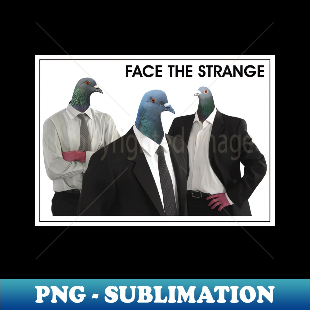 LB-20231117-2205_Business Pigeon Trio 3295.jpg