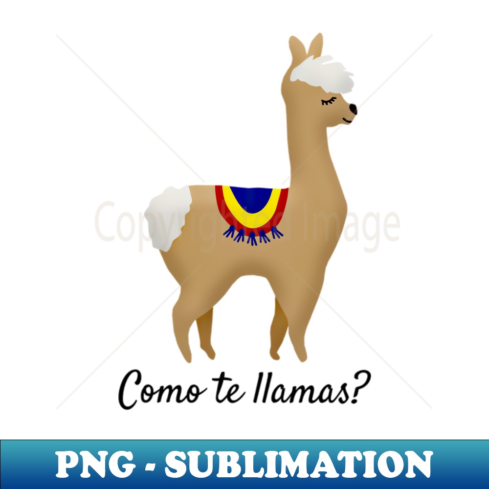 MG-20231117-3076_Como te llamas 1319.jpg