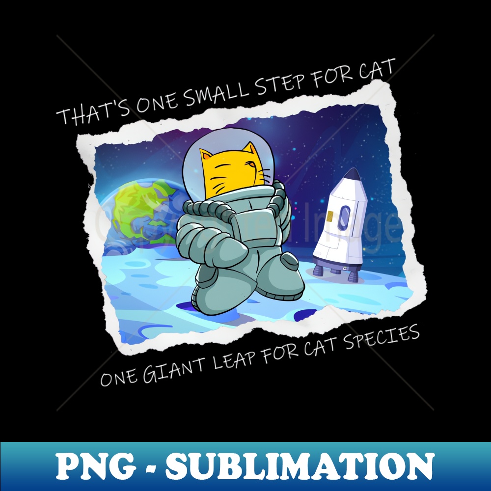 MH-20231117-9631_Moon landing cat 8481.jpg