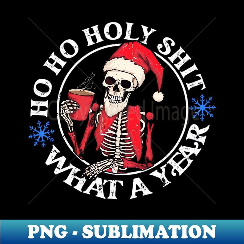 OY-20231117-11857_Retro Ho Ho Holy Shit What A Year Funny Skeleton Christmas 5974.jpg