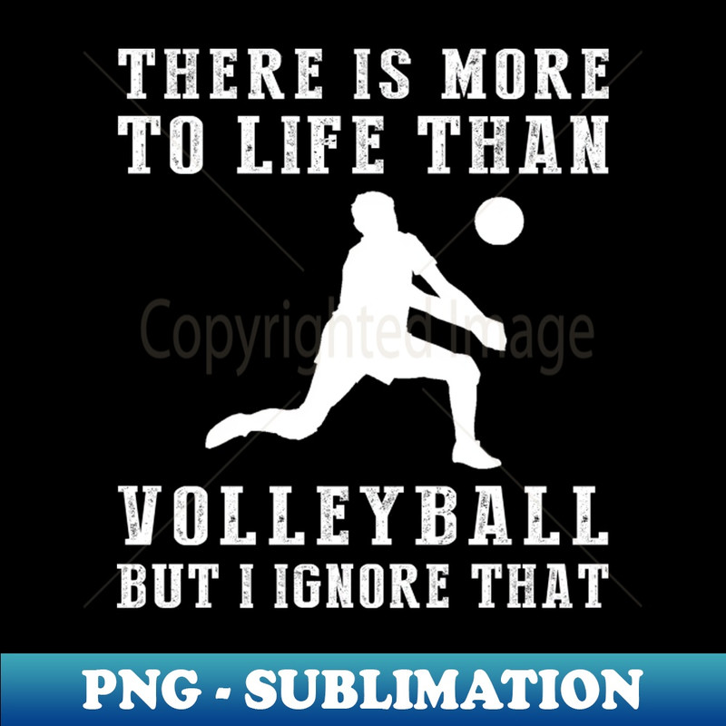 PM-20231117-15273_Volleyball Ignorance T-Shirt 5056.jpg