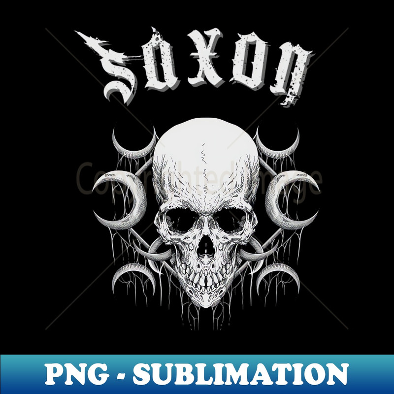 QT-20231117-12335_saxon the darkness 2151.jpg