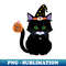 QT-20231117-3578_Dark Cat Trick or Treat A Mysterious Halloween Night 6931.jpg