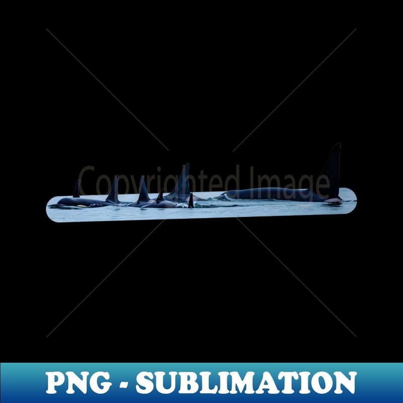 QV-20231117-10578_Orca Pod 4125.jpg