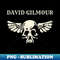 QZ-20231117-3618_David Gilmour 5492.jpg