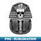 RB-20231117-10906_Pharaoh Skull 6197.jpg