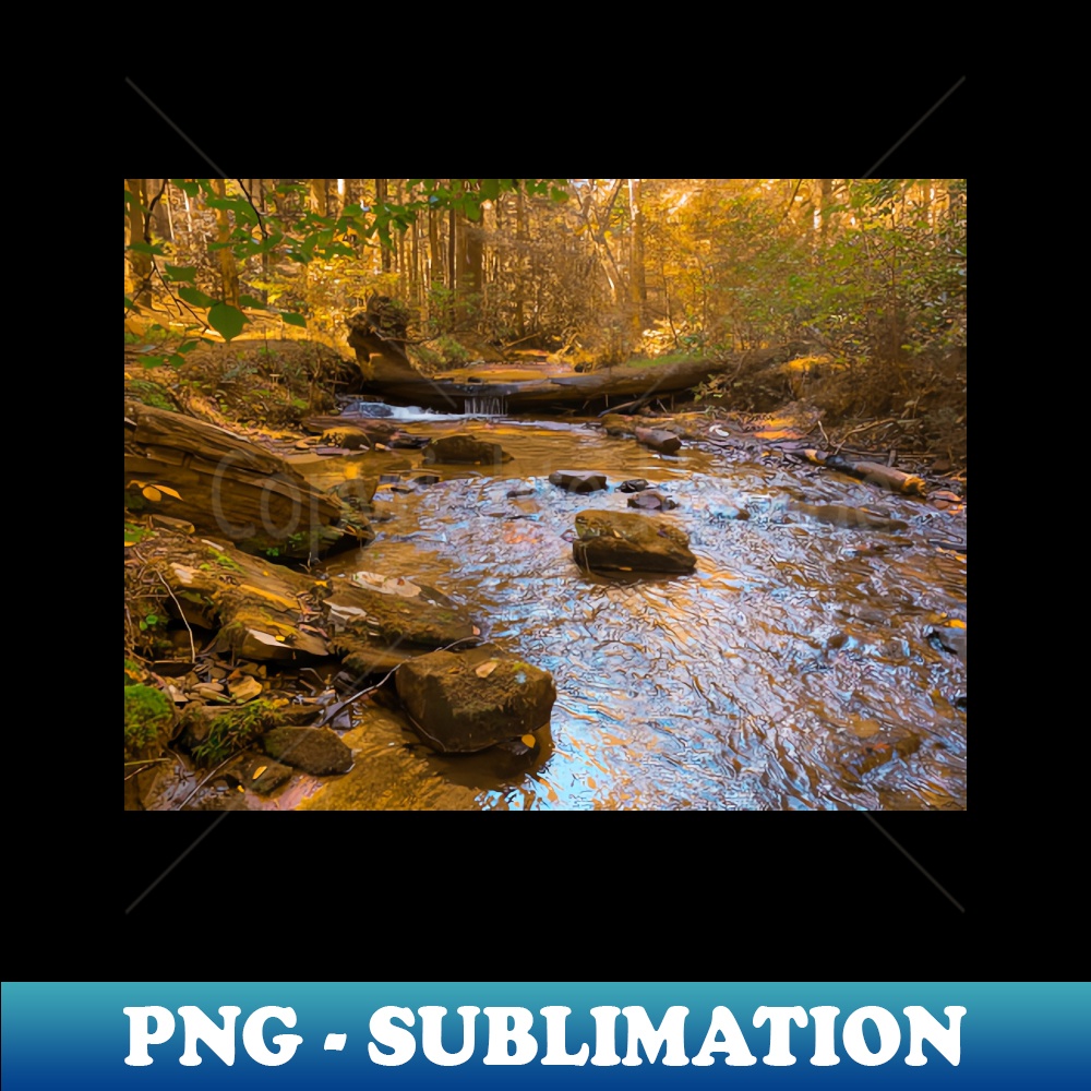 RW-20231117-9761_Mountain Stream 1620.jpg