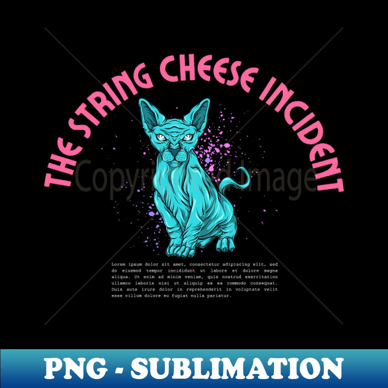 RX-20231117-14203_the string cheese incident 1160.jpg