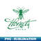 RX-20231117-4374_Edina Hornets 9815.jpg