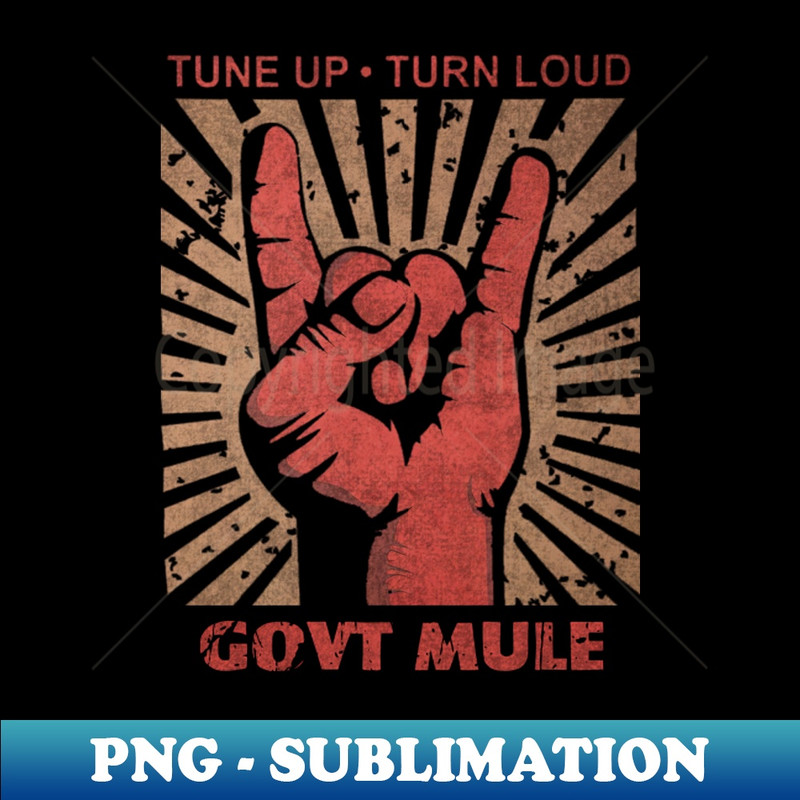 RY-20231117-14795_Tune up Turn Loud Govt Mule 8238.jpg