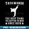 SF-20231117-8107_Kick and Sip Taekwondo - Better Than Beer Wine Funny Tee 3510.jpg